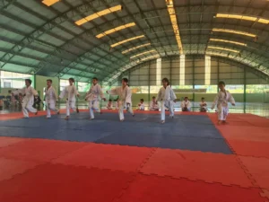 karate-do-venha-fazer-parte-dessa-familia06