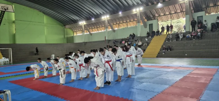 IV Campeonato de Karatê Foz do Iguaçu